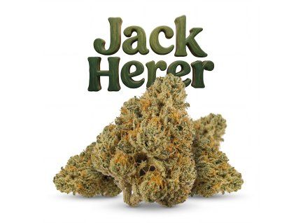 JACK HERER 60% (Weight 7g)