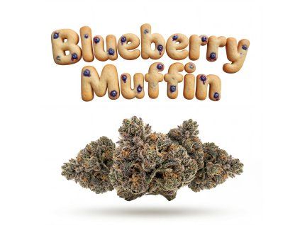 BLUEBERRY MUFFIN 60% (Weight 7g)
