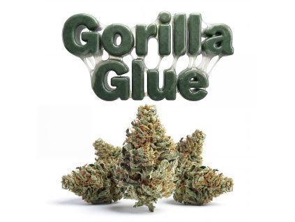 GORILLA GLUE 60% (Weight 7g)