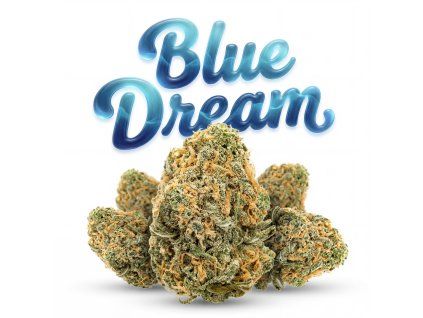 BLUE DREAM 60% (Weight 7g)