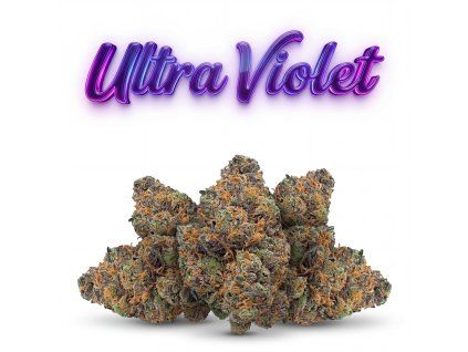 ULTRA VIOLET 60% (Weight 7g)