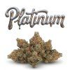 PLATINUM 60% (Weight 7g)