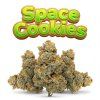 SPACE COOKIES 60% (Weight 7g)
