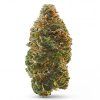 BUBBLEGUM GELATO 60% (Weight 7g)