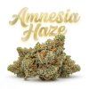 AMNESIA HAZE 60% (Weight 7g)