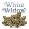 WHITE WIDOW CBG 60% (Weight 7g)