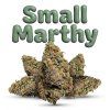 SMALL MARTHY 60% (Weight 7g)