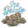 ICE GELATO 60% (Weight 7g)