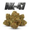 AK-47 60% (Weight 7g)