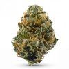 GORILLA 60% (Weight 7g)