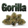 GORILLA 60% (Weight 7g)