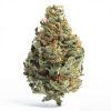 GORILLA GLUE 60% (Weight 7g)