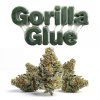 GORILLA GLUE 60% (Weight 7g)