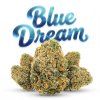 BLUE DREAM 60% (Weight 7g)