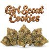 GIRL SCOUT COOKIES 60% (Weight 7g)