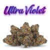 ULTRA VIOLET 60% (Weight 7g)