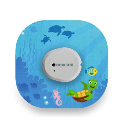 NG700040 Chill Turtle