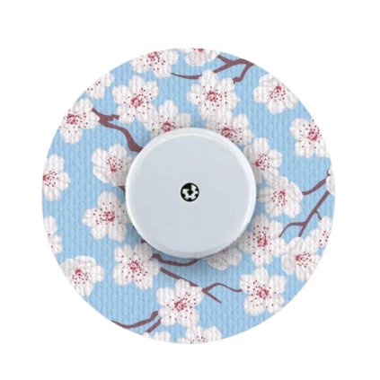 Snímek obrazovky 2024 10 30 134437 removebg preview