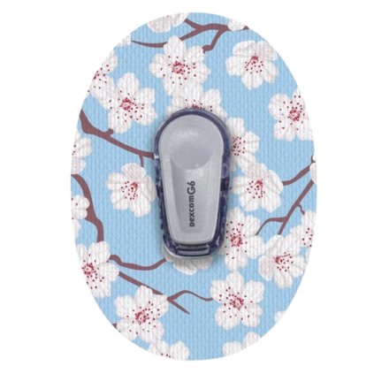 Snímek obrazovky 2024 10 30 134414 removebg preview