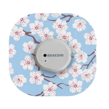 Snímek obrazovky 2024 10 30 134426 removebg preview