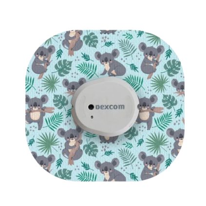 NG700079 Koala