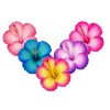 NG3400017 Sweet Hibiscus