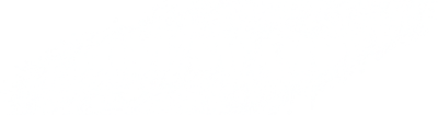 ONESWAMP