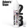 Příchuť Adam´s Vape S&V 12ml 23