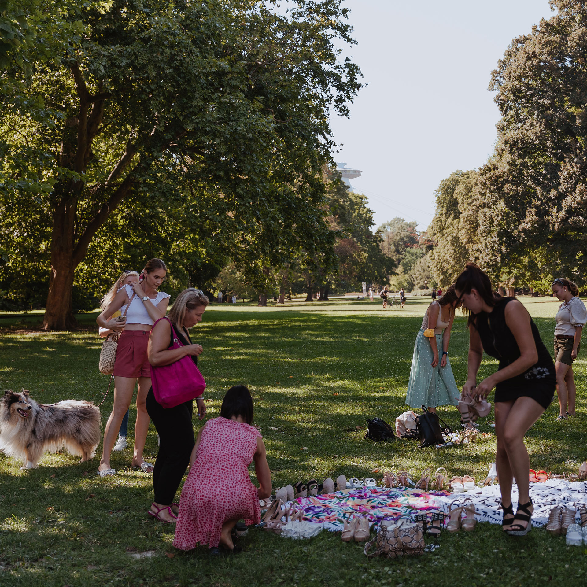 ongaro-piknik-clanok-01