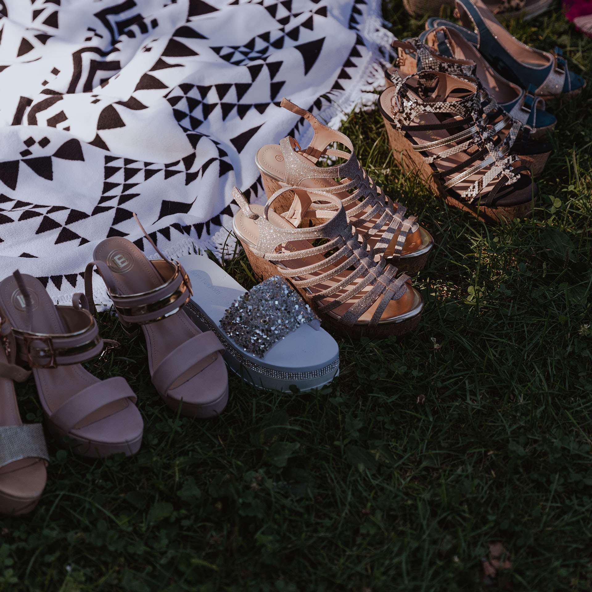 ongaro-piknik-clanok-06