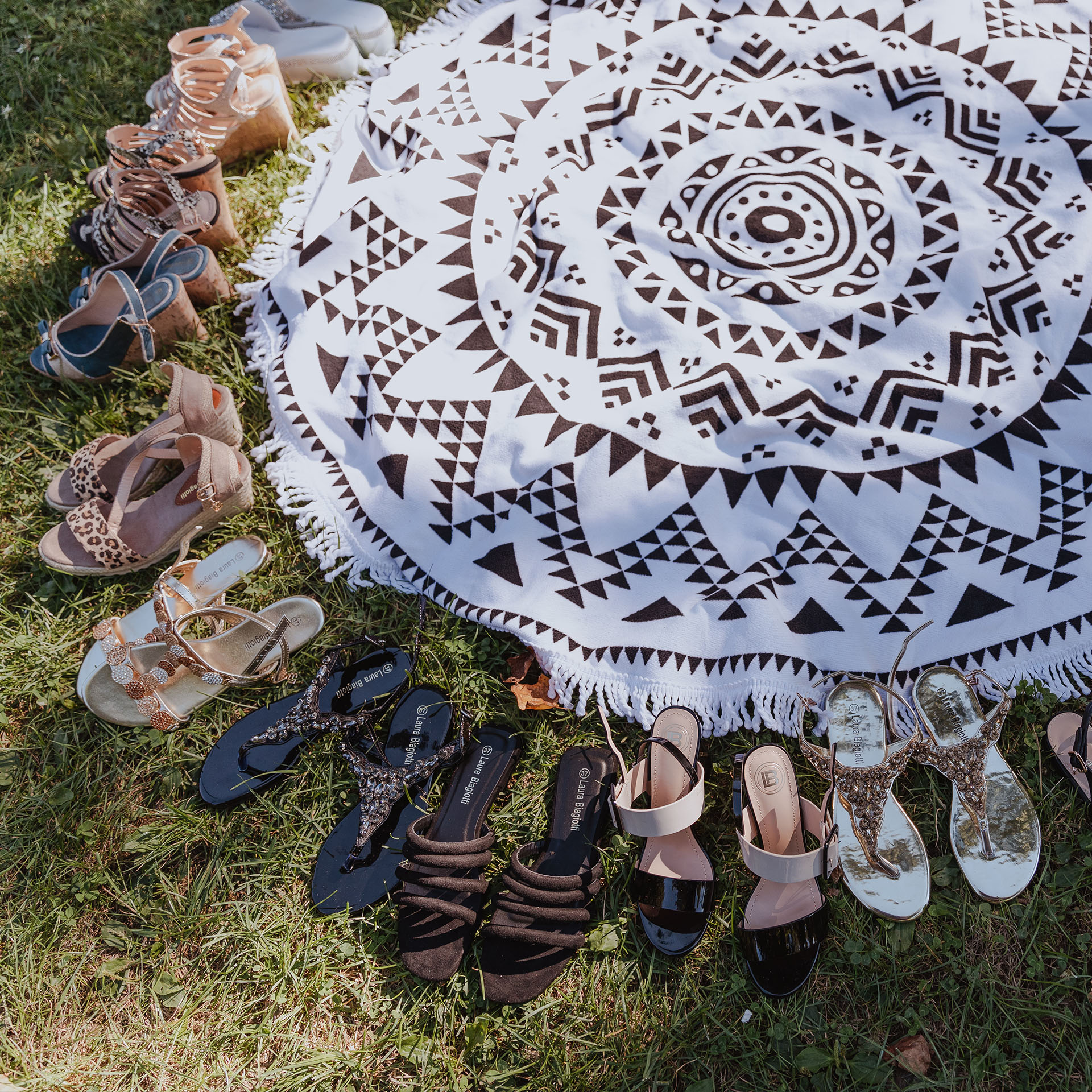 ongaro-piknik-clanok-15