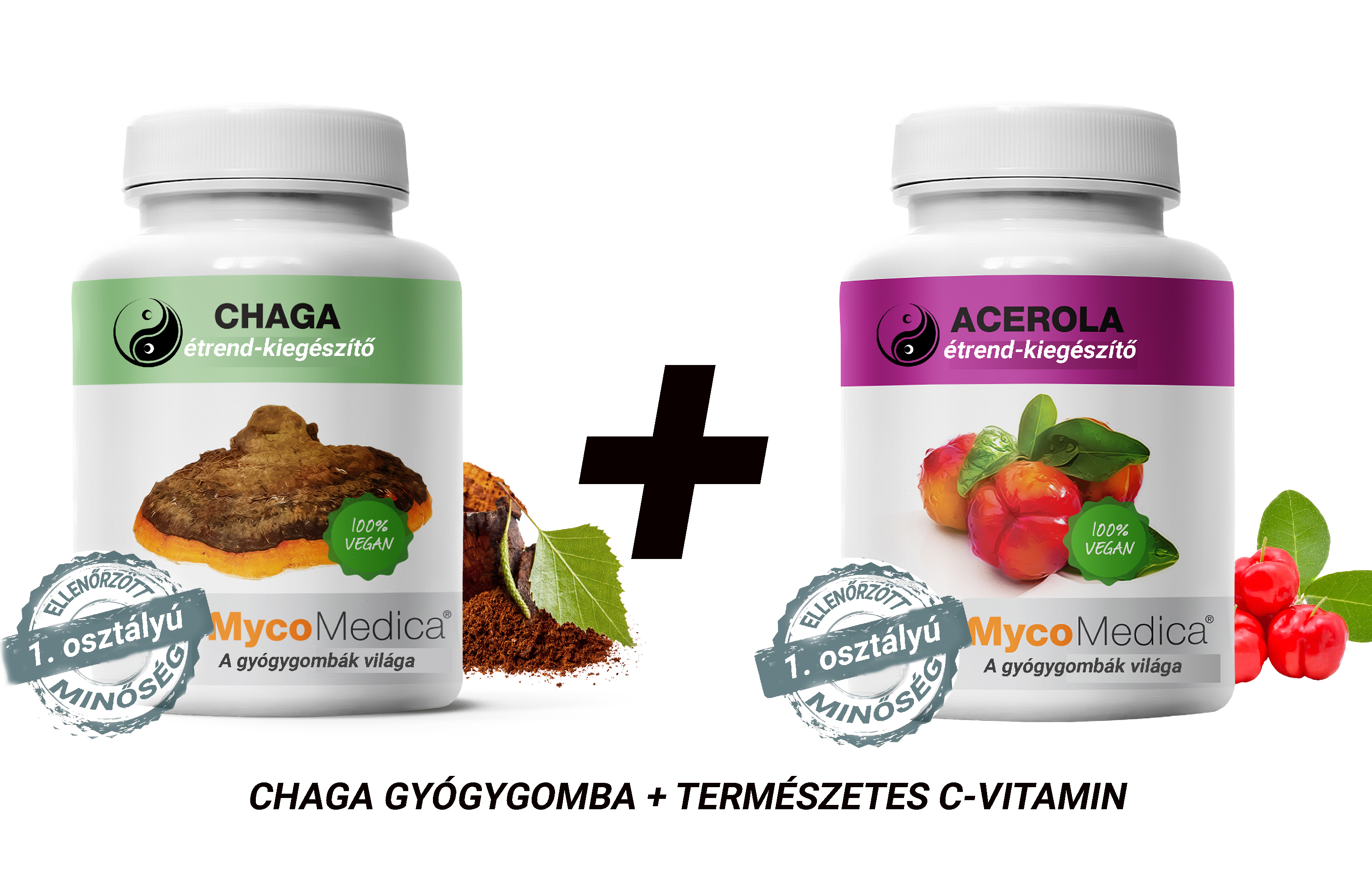 Chaga+c-vitamin_1