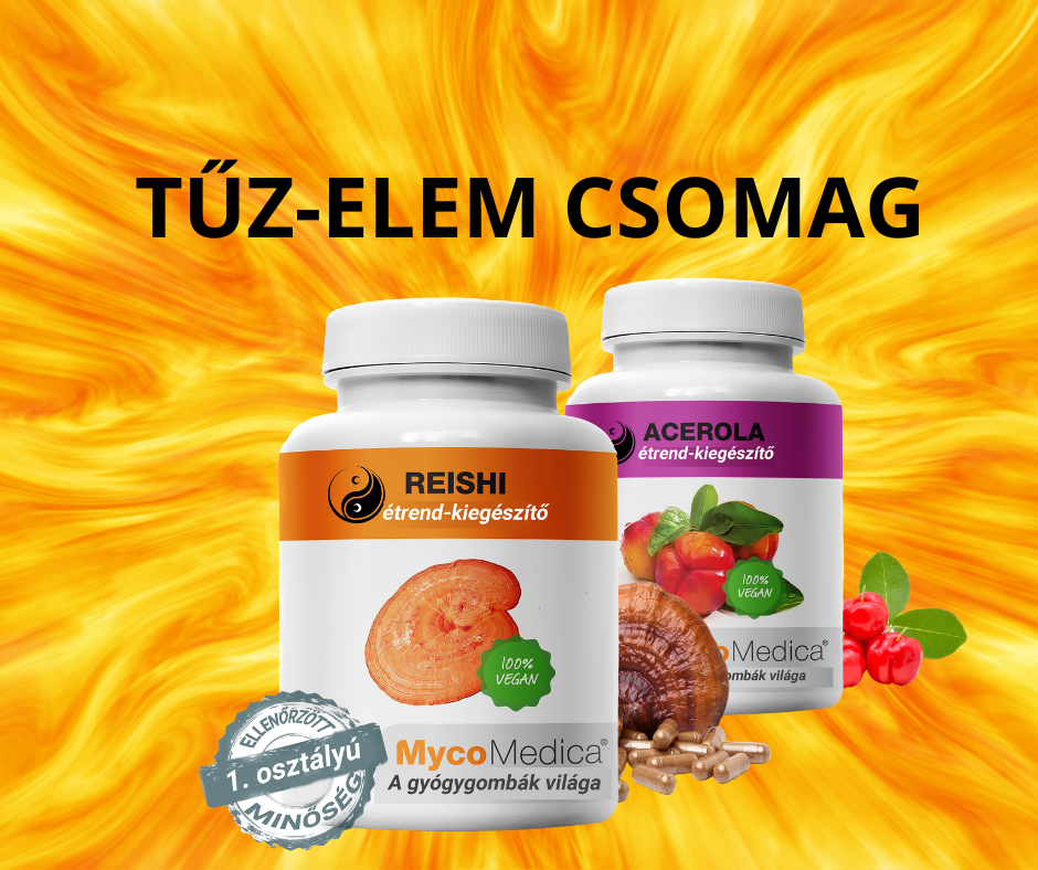 TŰZELEM