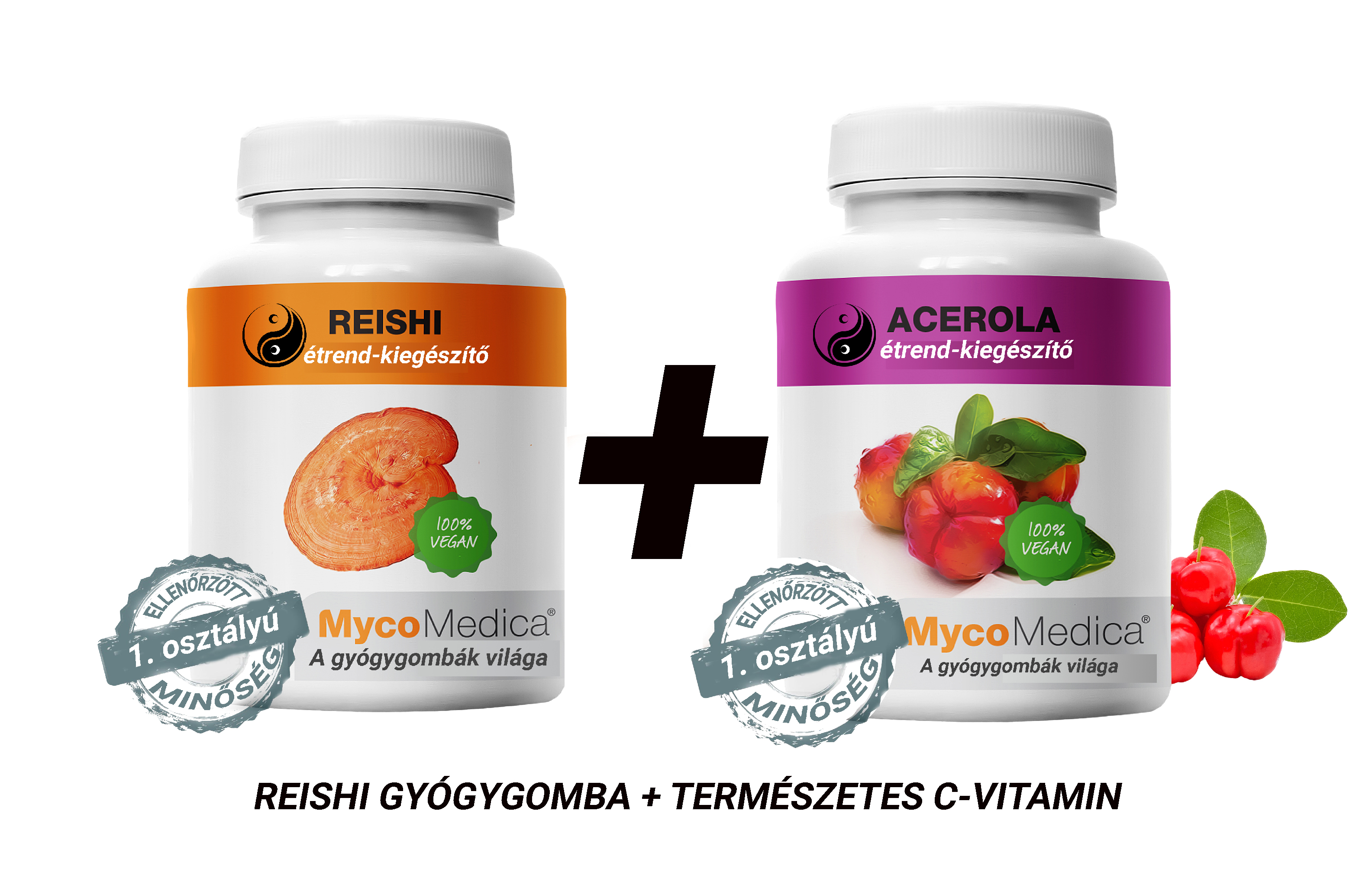 reishi+c-vitamin