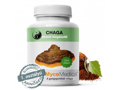 Chaga
