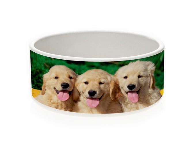 786F8D59 E558 4B91 96A2 7704B6C36222 AC81AE52 FB32 491E 87F1 C6E4A56F8535