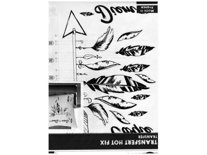 Samolepka na textil, zažehlovací, 19x28 cm, motiv CARPE DIEM, PEŘÍ, černá