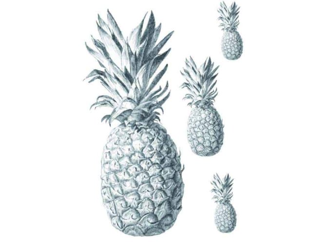 Samolepka na textil, zažehlovací, 19x28 cm, motiv ANANAS, barevná