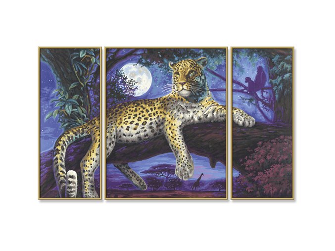 942 afrika leopard v noci 50 x 80 cm