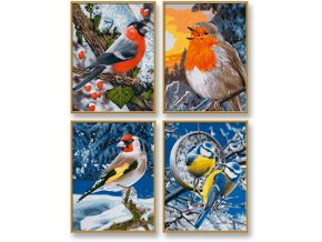 927 zimni ptaci 4 obrazy v baleni 18 x 24 cm