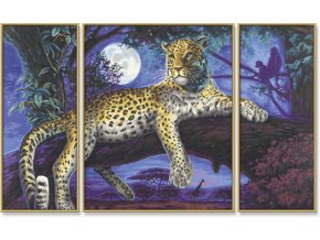 942 afrika leopard v noci 50 x 80 cm