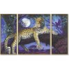 942 afrika leopard v noci 50 x 80 cm