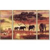 951 afrika sloni karavana 50 x 80 cm