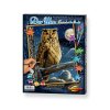 vyrp11 256the eagle owl master of the night 609240703 en 01 2