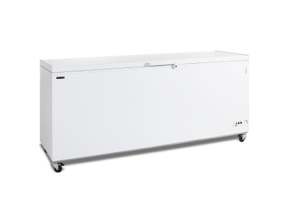 Tefcold CF 700