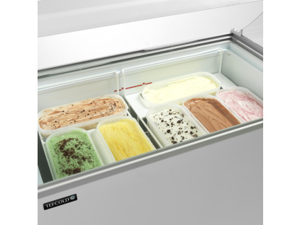 Tefcold IC 300 SCE SO distributor zmrzliny
