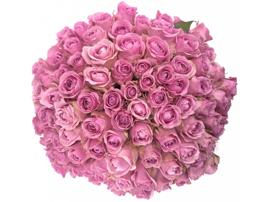 Bouquet of pink roses WHAM 40 cm - Online Květiny Praha
