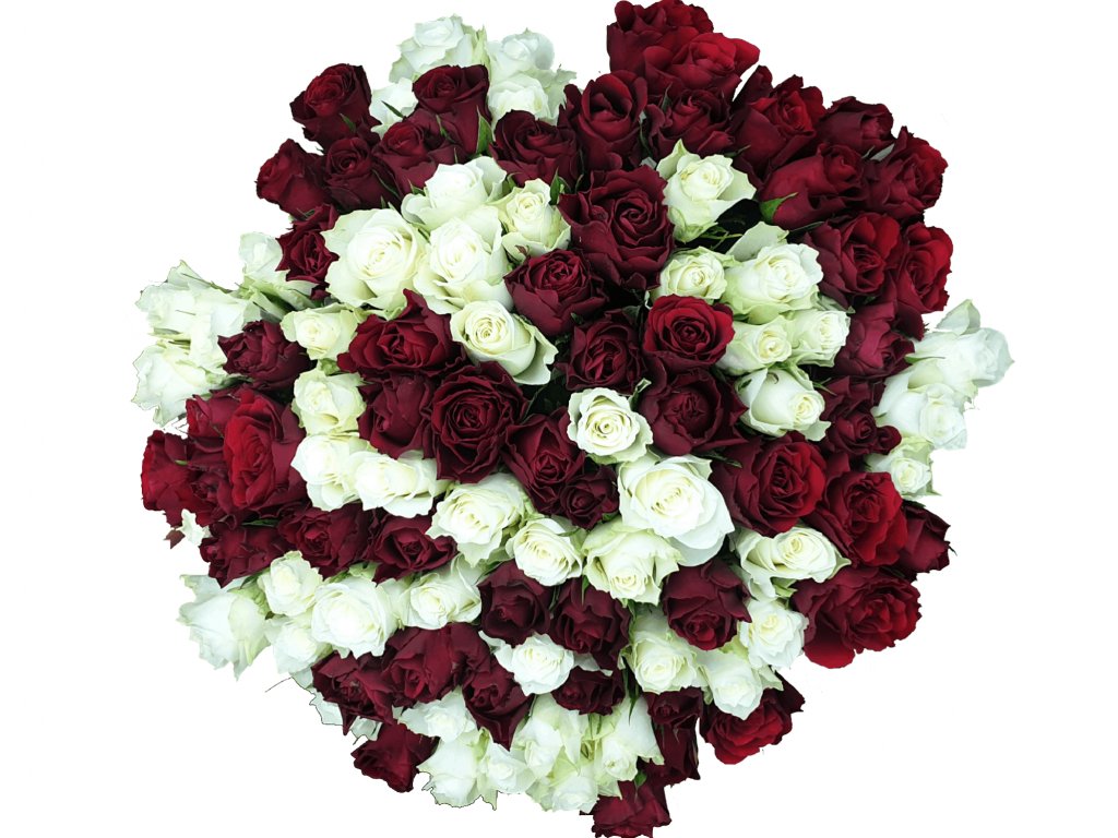 Bouquet of roses mix red and white 40 cm - Online Květiny Praha