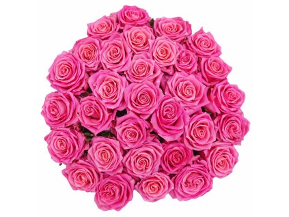 ChatGPT Image 24. 2. 2026 10 40 21