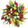 tulip51
